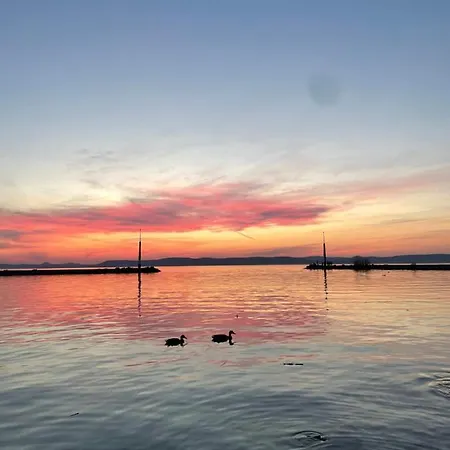 Bagolyvar Balatonszárszó