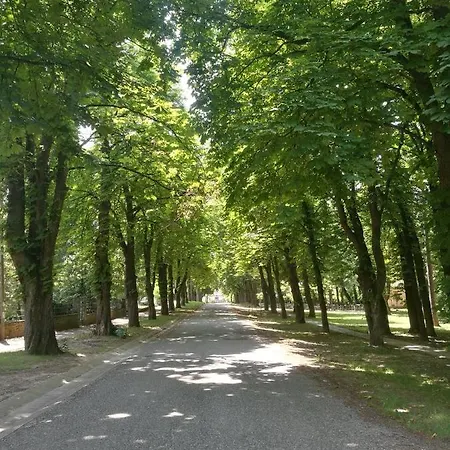 Bagolyvar * Balatonszemes