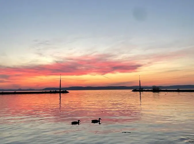 Bagolyvar Balatonszárszó