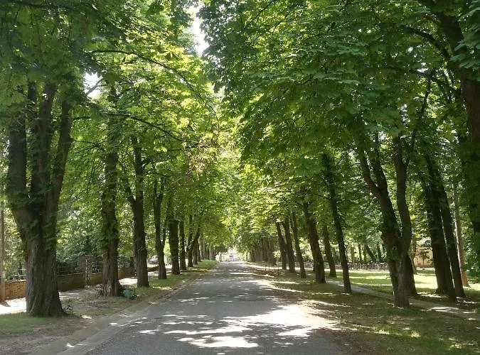 Bagolyvar * Balatonszárszó